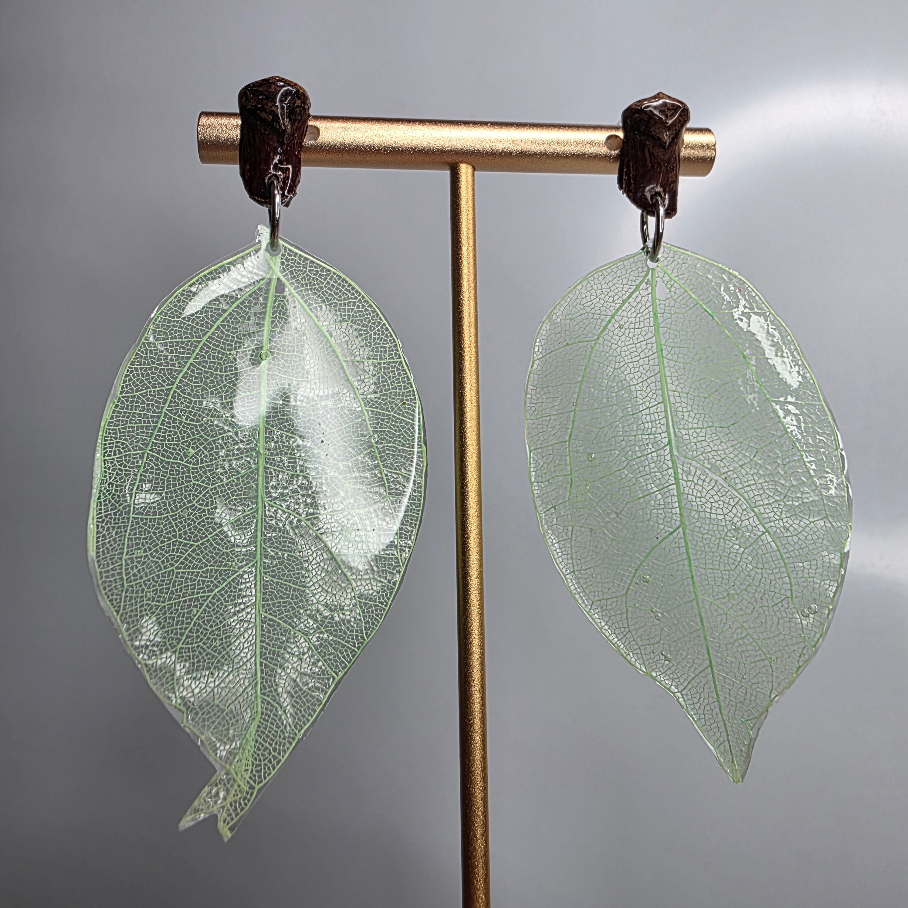 Pendientes de hoja natural esqueletizada con acabado brillante