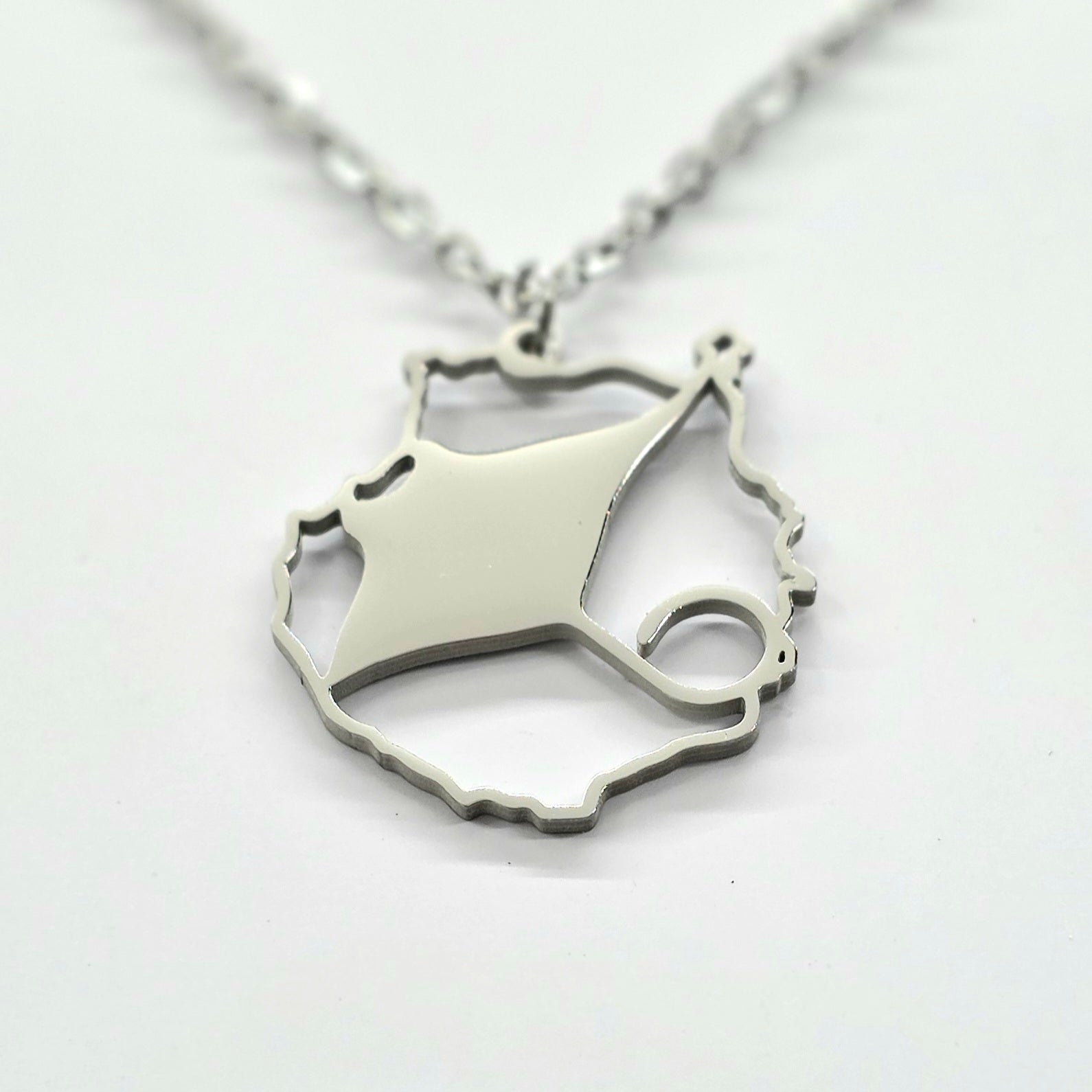 Collar Gran Canaria con Mantarraya Plateado — cerca