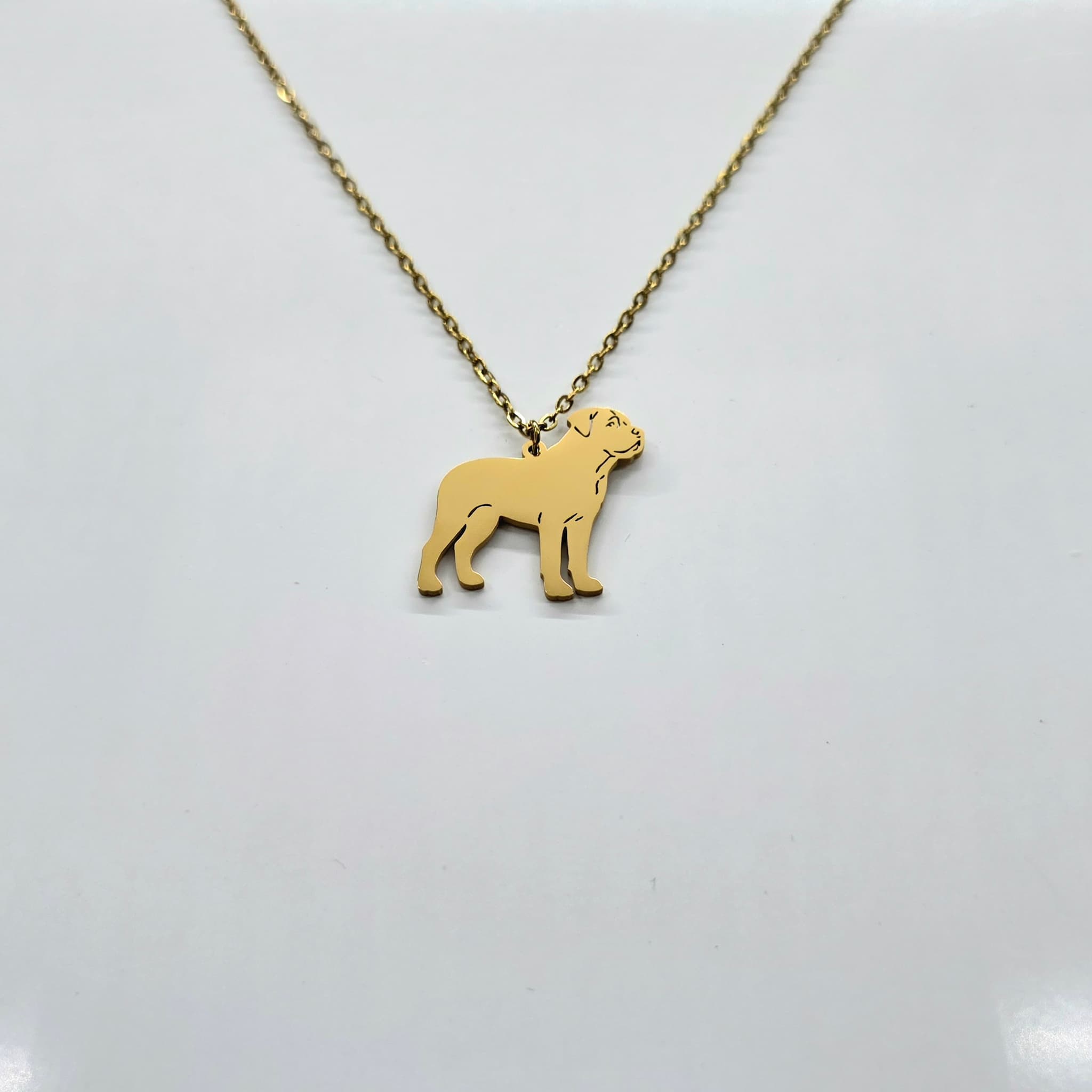 Collar Perro Gran Can Dorado