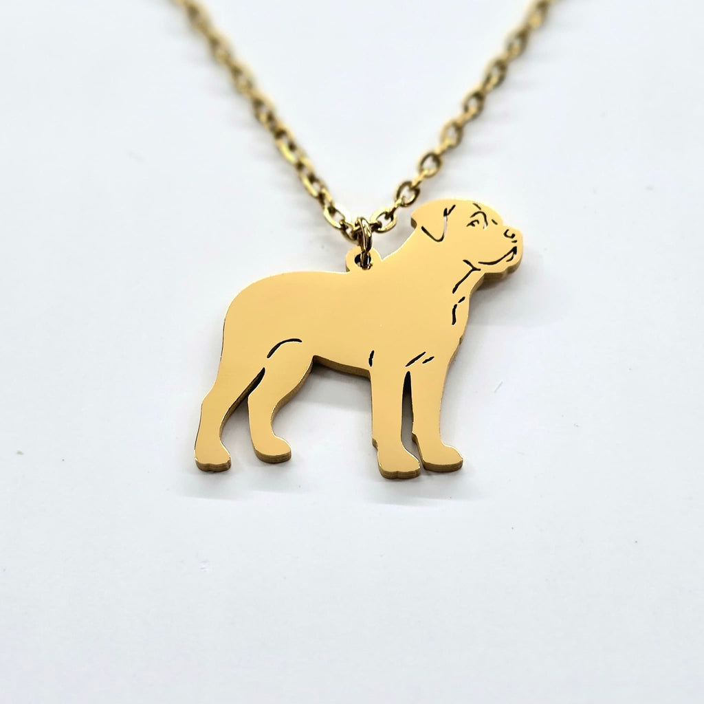 Collar Perro Gran Can Dorado — cerca