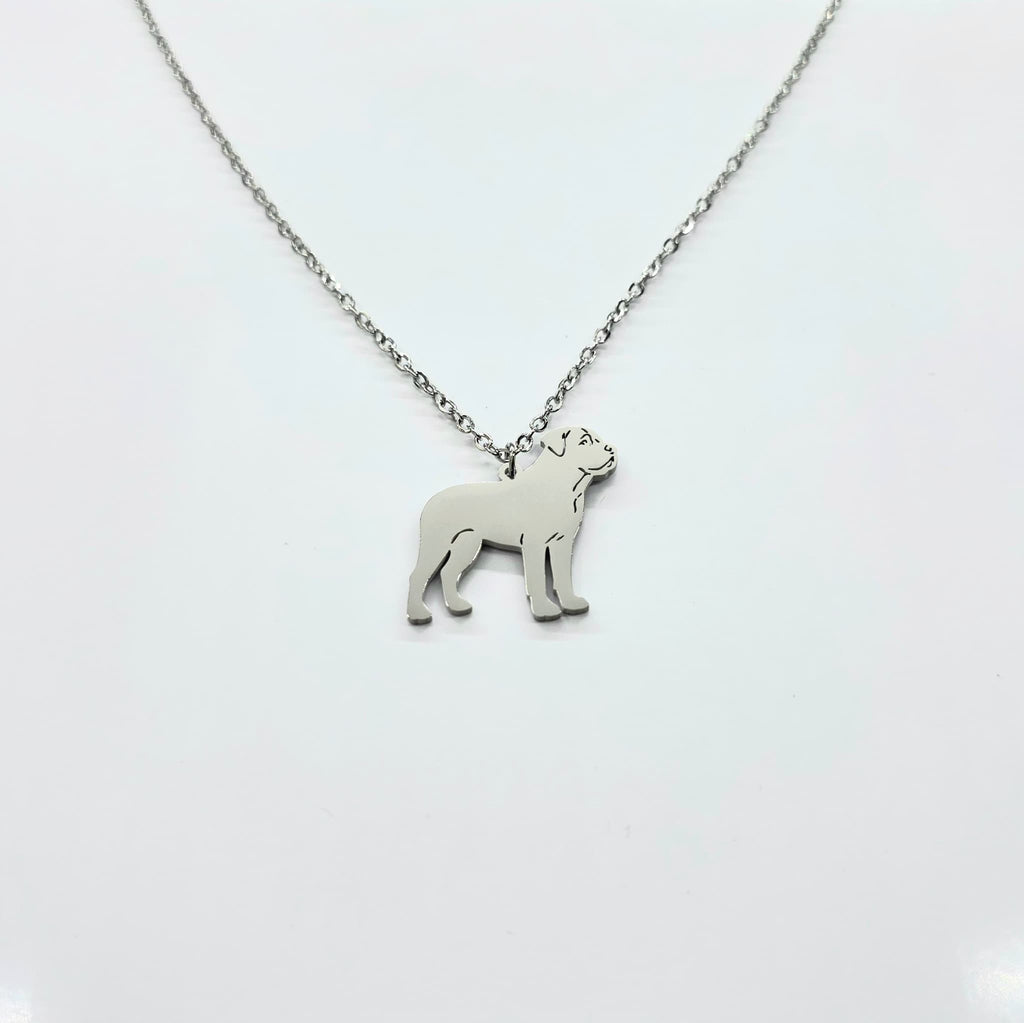 Collar Perro Gran Can Plateado