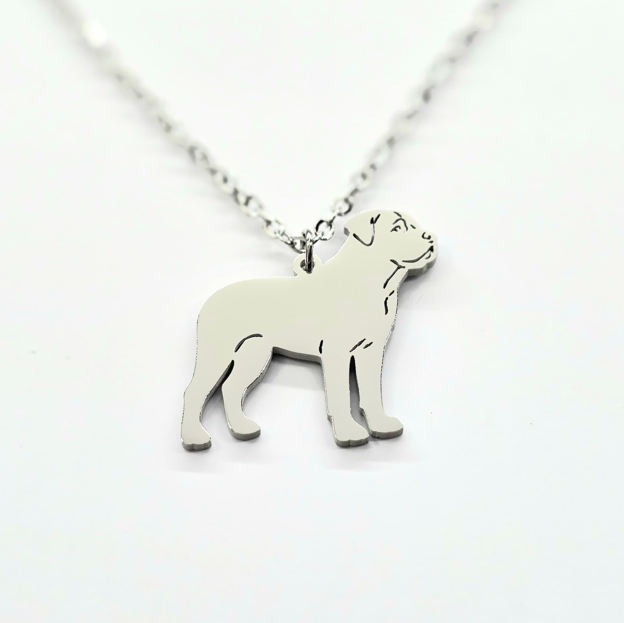Collar Perro Gran Can Plateado — cerca